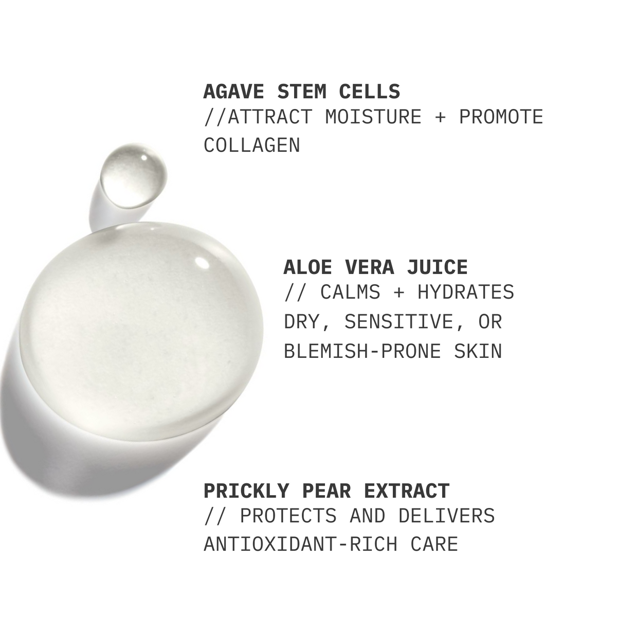 AZORÉE LAB Gel Cleanser // Balancing Prickly Pear Extract + Aloe Vera - image 2