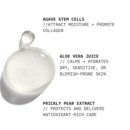 AZORÉE LAB Gel Cleanser // Balancing Prickly Pear Extract + Aloe Vera - image 2