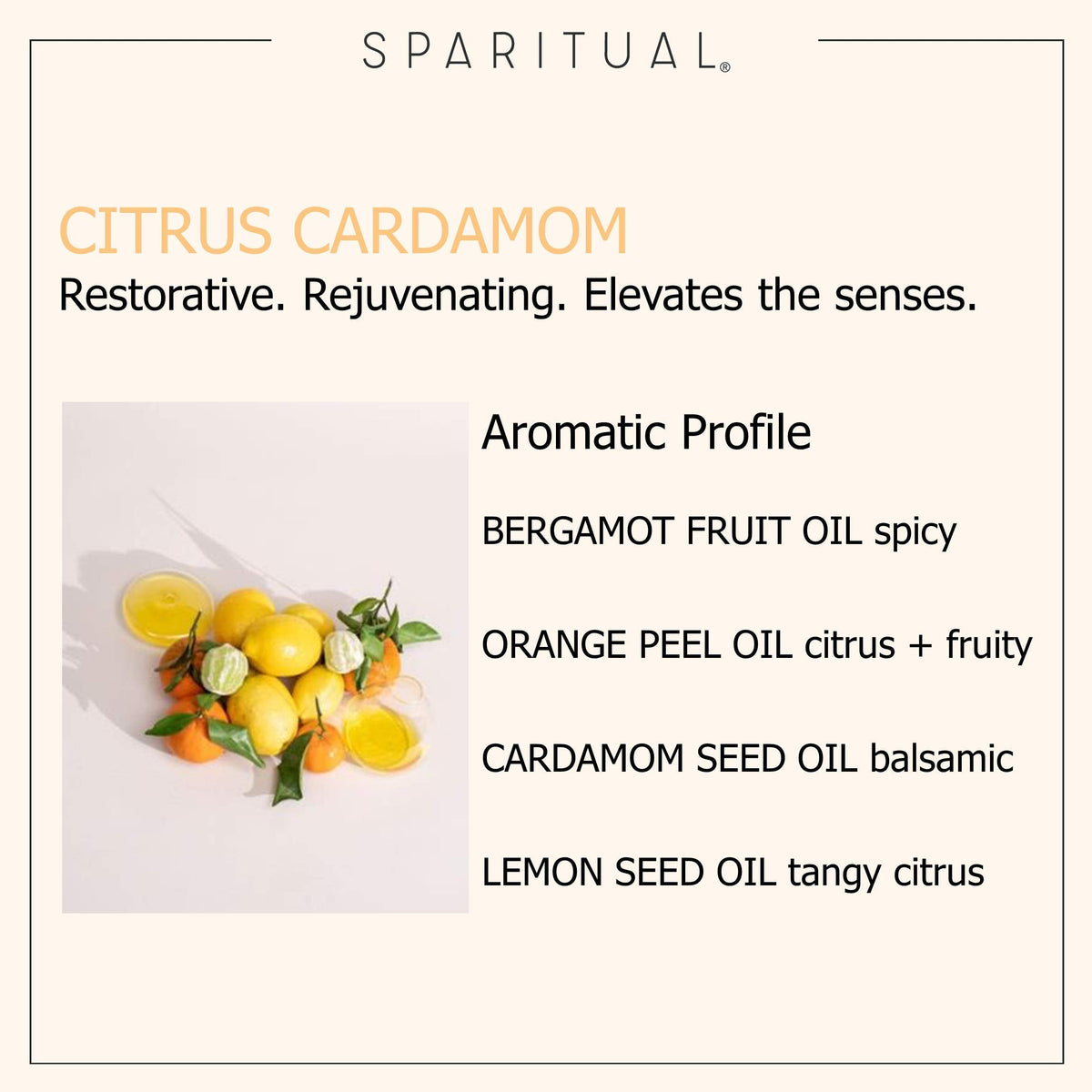SPARITUAL Citrus Cardamom Vegan Hand Salve | Hand Cream for Hydrated, Nourished Hands | 1.5oz - image 6