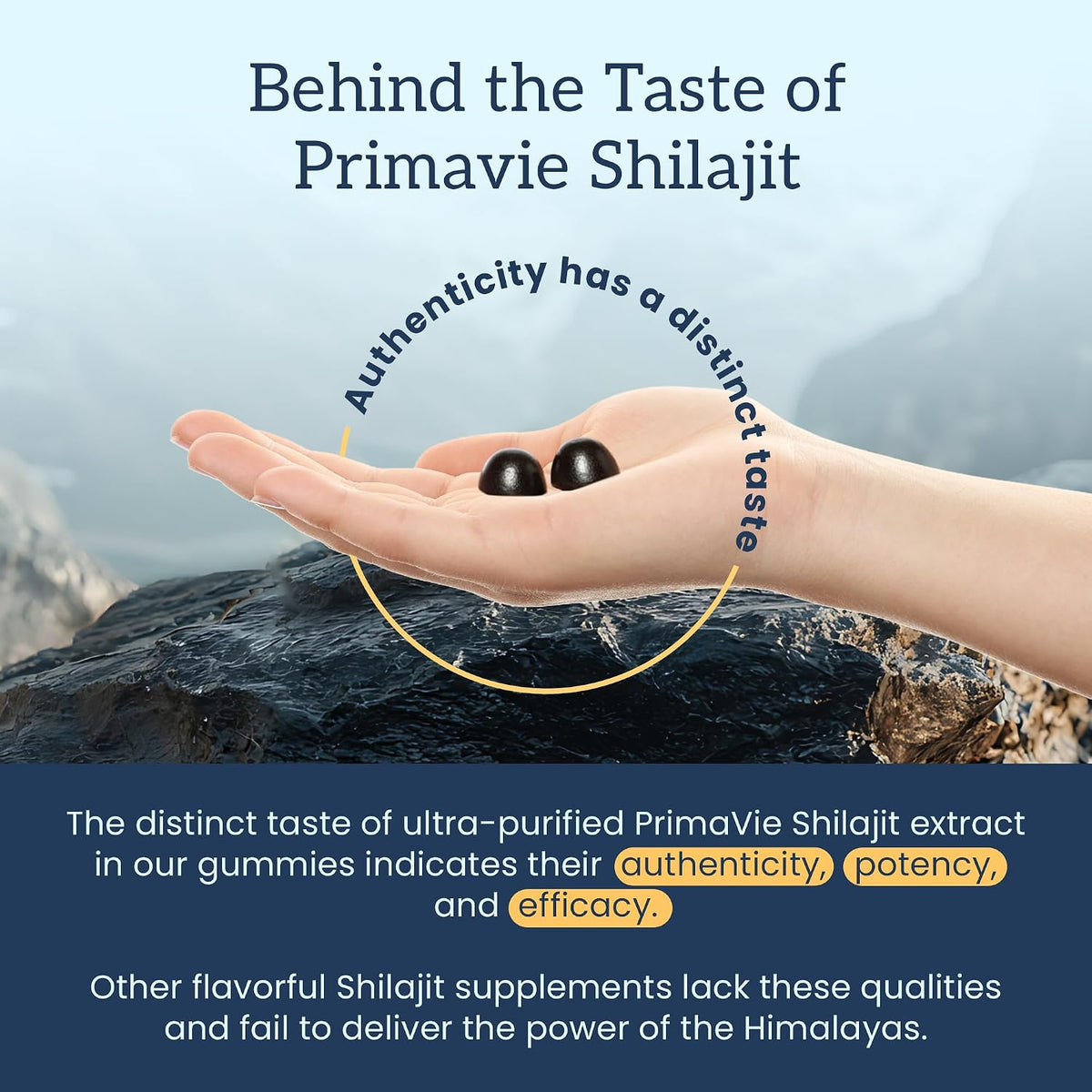 Organifi Shilajit Gummies – Vitality & Energy Booster – 60 Gummies - image 6