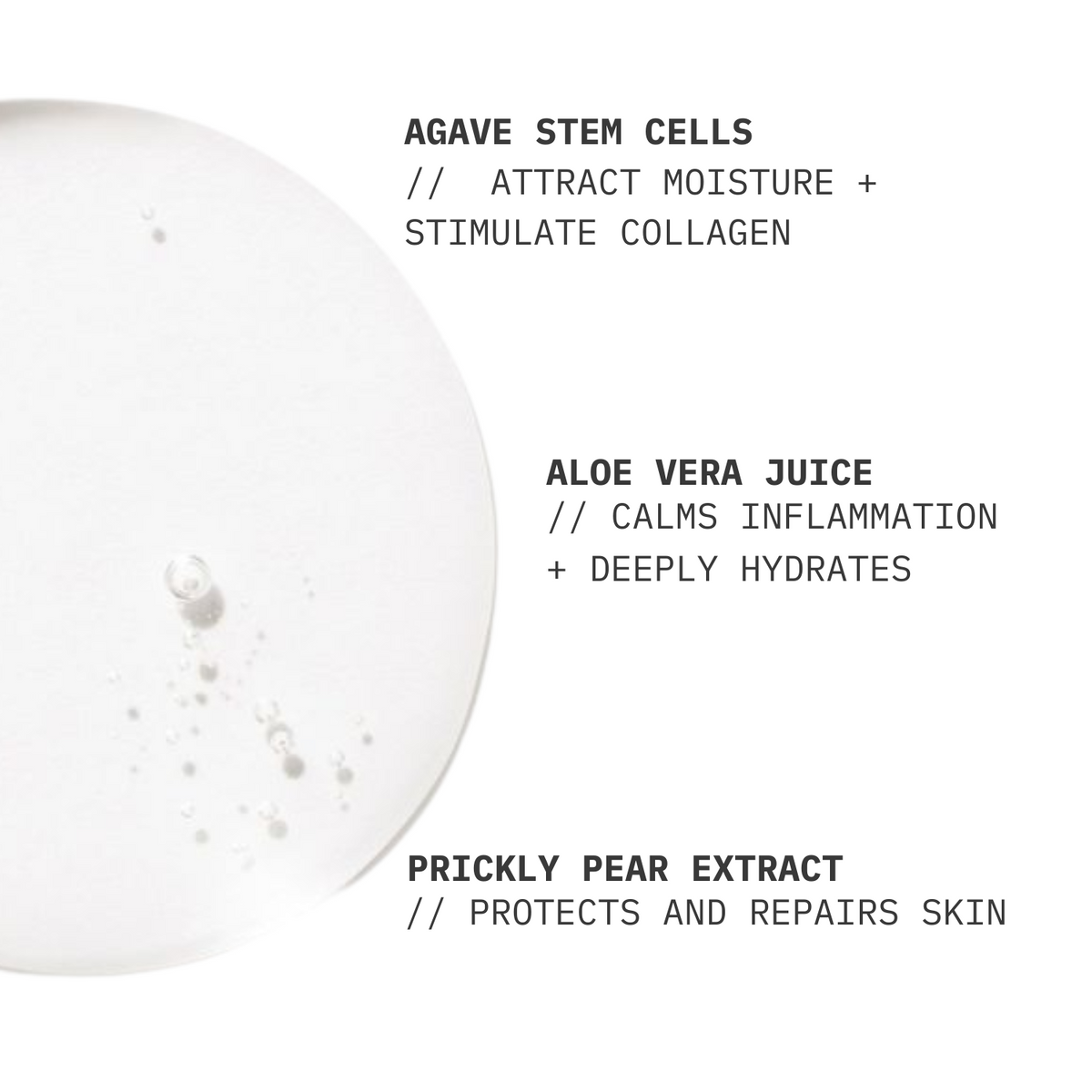 AZORÉE LAB Facial Toner // Balancing Prickly Pear Extract + Aloe - image 4