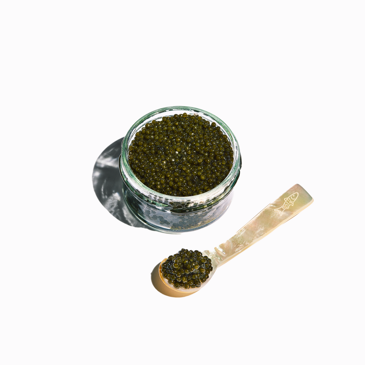 Fishwife California White Sturgeon Caviar – 1 oz - image 1