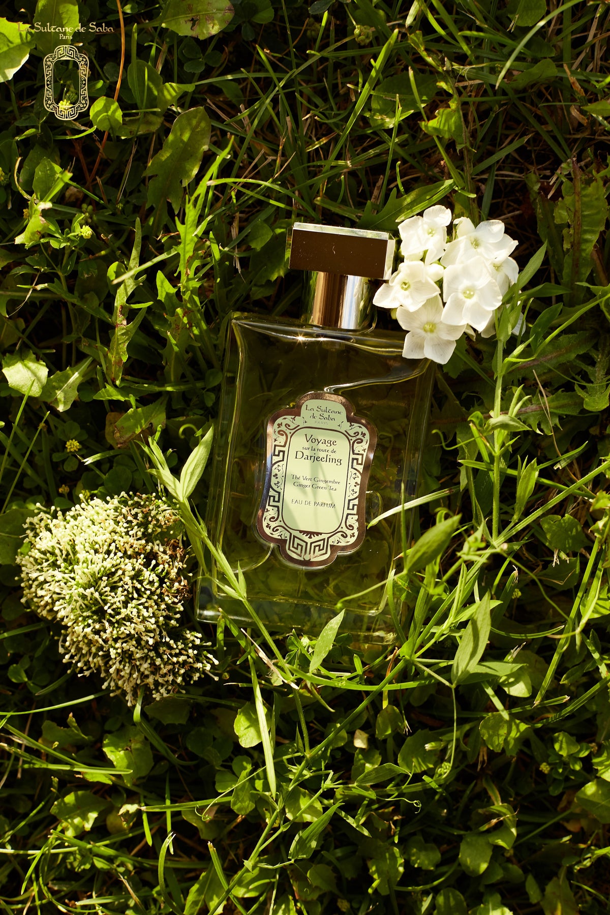 Perfume – Green Tea & Ginger – Journey to the Route of Darjeeling - image 2