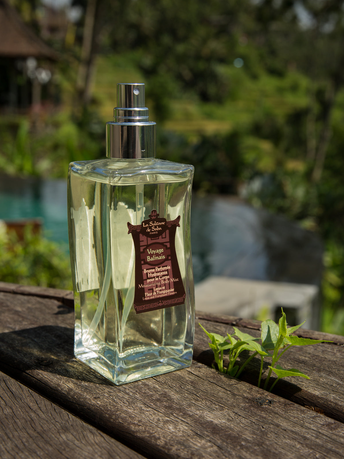 Body Mist – Lotus & Frangipani Flower – Journey to Bali - image 2