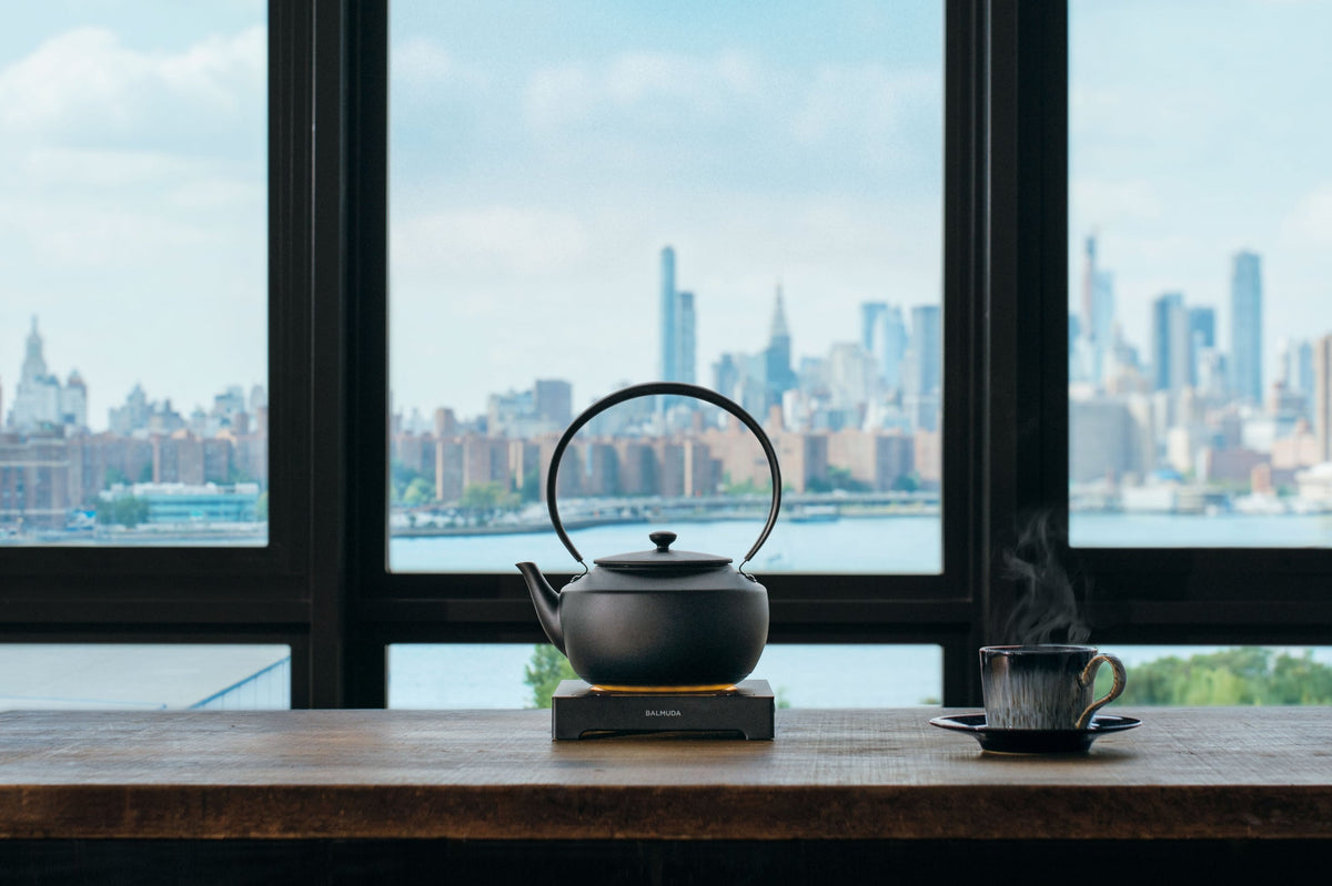 BALMUDA – MoonKettle Electric Kettle with Temperature Control – 0.9 L - image 4