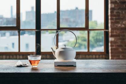 BALMUDA – MoonKettle Electric Kettle with Temperature Control – 0.9 L - image 5